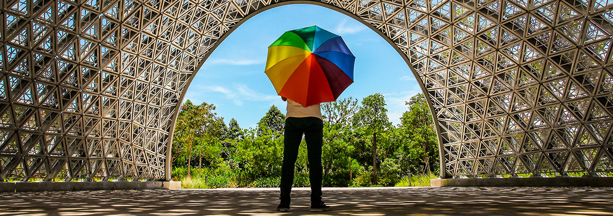 Cisco Umbrella для захисту трафіку від кібератак у перевантажених мережах Cisco Umbrella для захисту трафіку від кібератак у перевантажених мережах